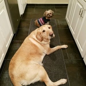 Meet your Posher, Mary